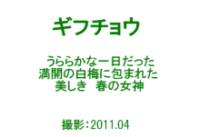 ■■　輝く小さな命たち　\'10～\'11　作品公開　vol.1　■■_c0195662_23064.jpg