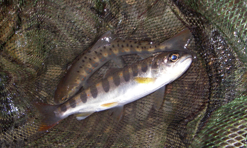 c0108863_2184521.jpg