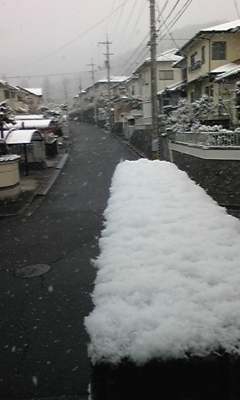 春雪。。。_e0143667_914187.jpg