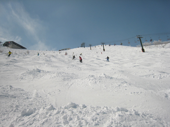 f0233068_214079.jpg