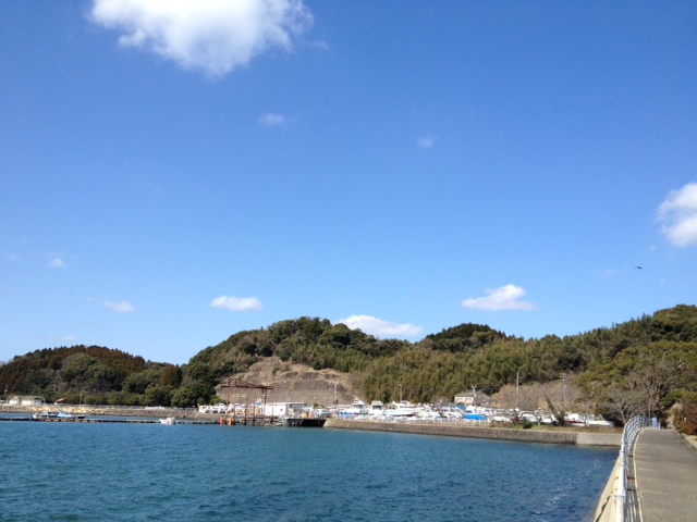 そろそろお花見_a0077071_135479.jpg