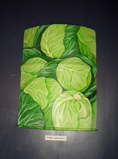 Cabbage rock ☆ News_d0139575_2275510.jpg