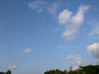 d0240983_2051266.jpg