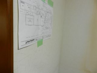 2012年3月12日 ピンクのぷーぷー_b0098584_17492935.jpg
