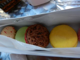 2012年3月12日 ピンクのぷーぷー_b0098584_1752051.jpg