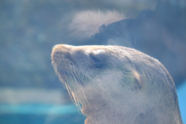 2012年３月11日。。。上野動物園にて_d0164185_0135781.jpg