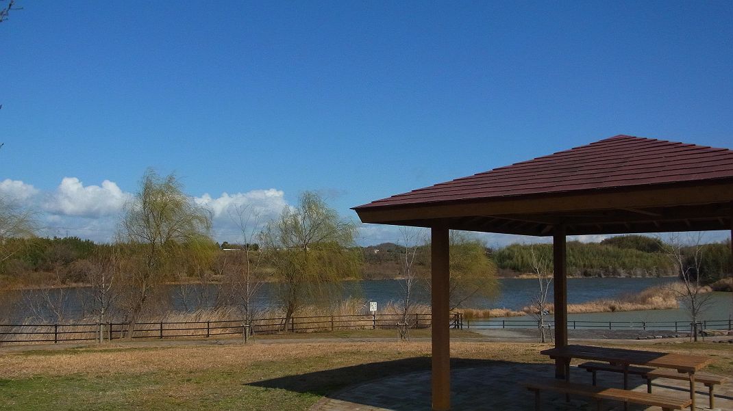 a0152692_17363020.jpg