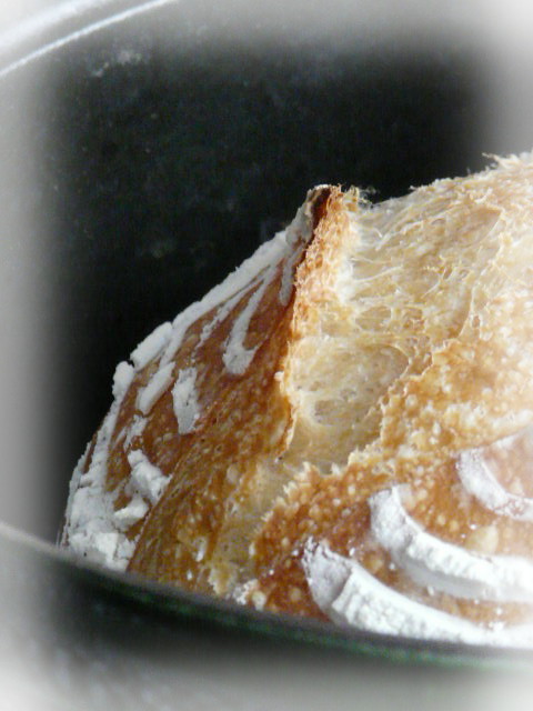 e0206702_16481291.jpg