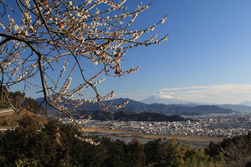 a0188405_20255875.jpg