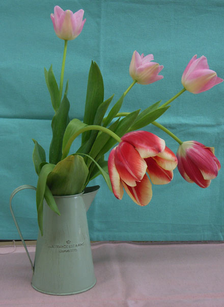 アトリエ蒼通信250 2012年3月13日(火) _b0129807_21451060.jpg