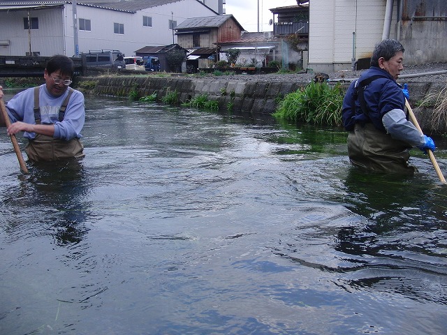 今年最初の田宿川の川そうじ_f0141310_7374377.jpg