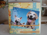 f0231910_9425763.gif
