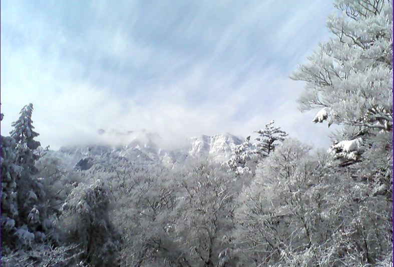 e0217511_23263221.jpg