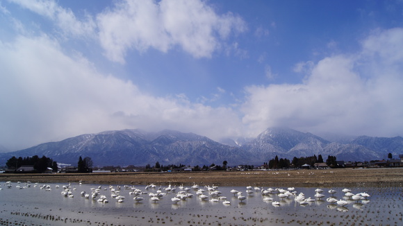 f0233414_22104681.jpg