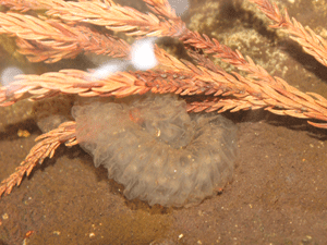 f0232920_10584366.gif