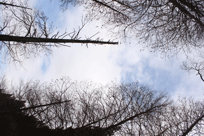 f0232920_110176.gif