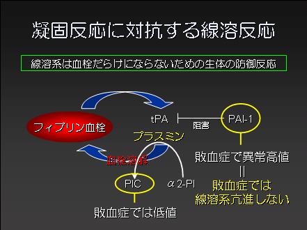 ICU看護師対象DIC勉強会概要(1)_e0255123_1713319.jpg