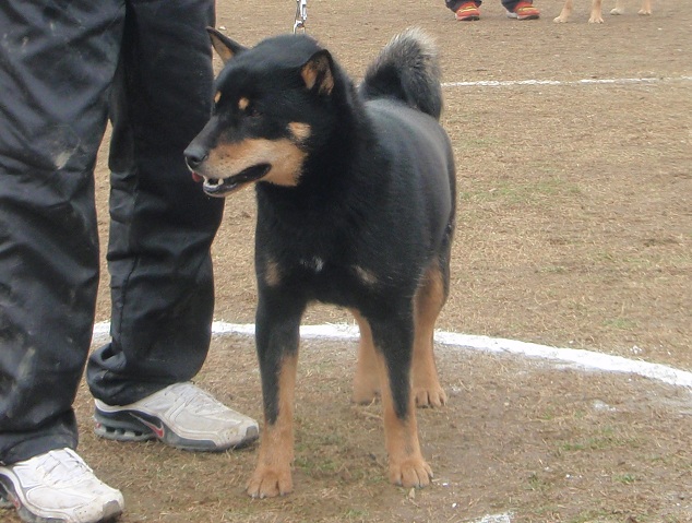 e0245925_21532728.jpg