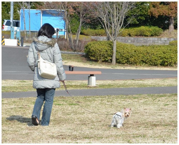 ドッグランで激写! Photo by じぃじ。_d0179828_9283524.jpg
