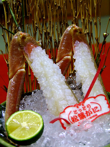 「真冬の山陰を巡る旅2012 三朝温泉 旅館 後楽(こうらく)」_a0000029_10121569.jpg