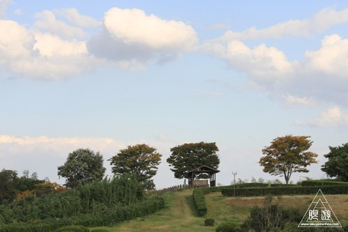 c0211532_10551567.jpg