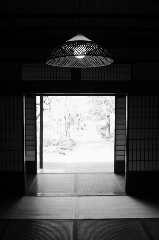 横浜　三渓園　春の香り_f0050534_9275225.jpg