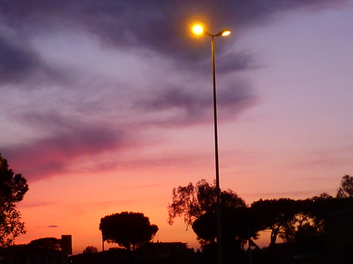 d0170140_4582371.jpg