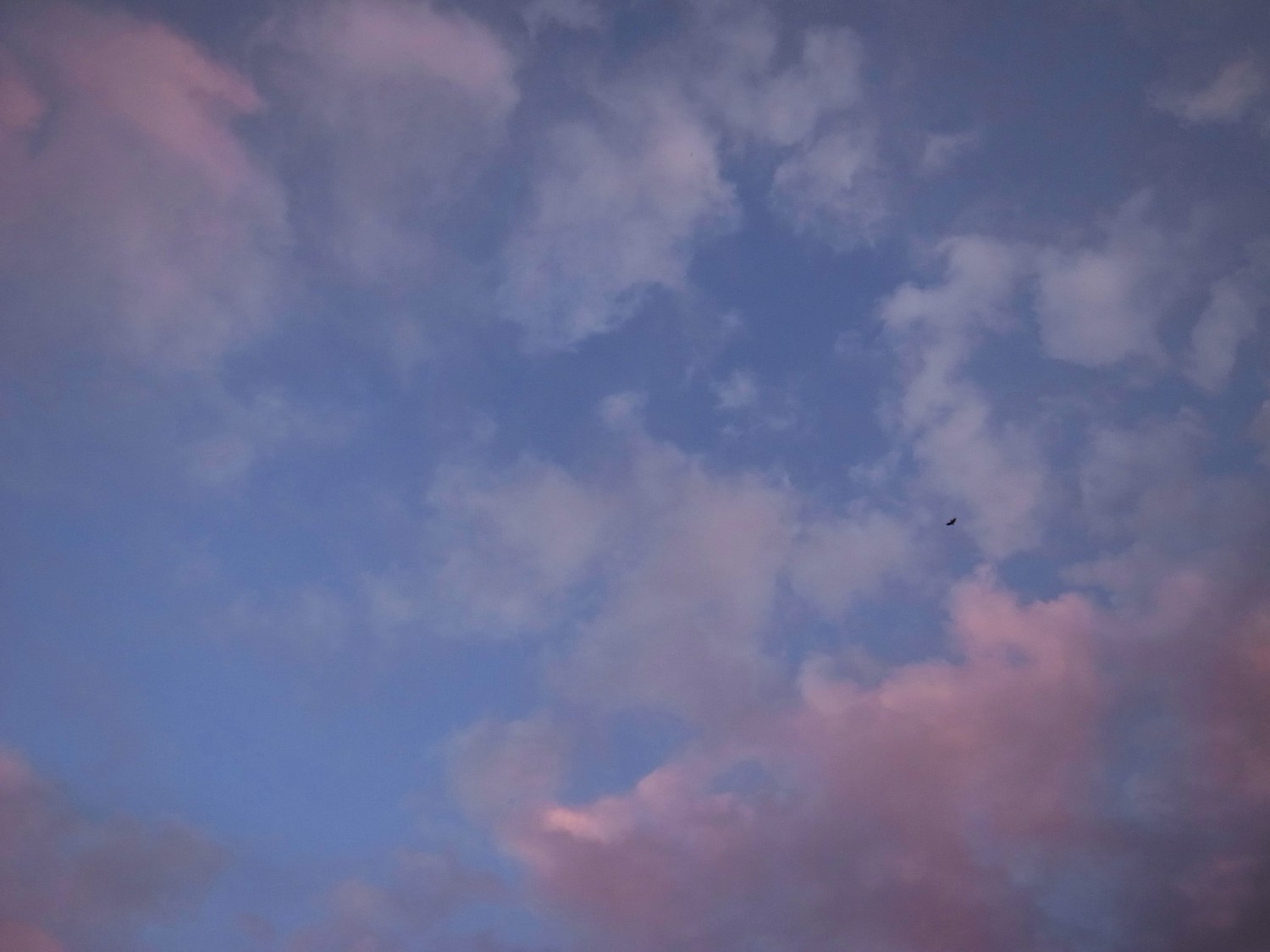 e0009147_2051036.jpg