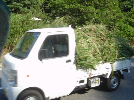 臨時活動日：出前草刈り作業(せんなん里海公園)料金所前_c0108460_1475024.jpg