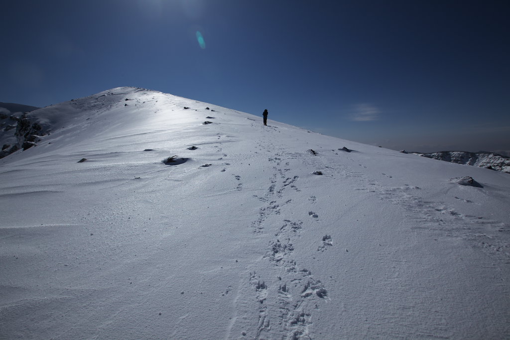 f0171065_20164085.jpg