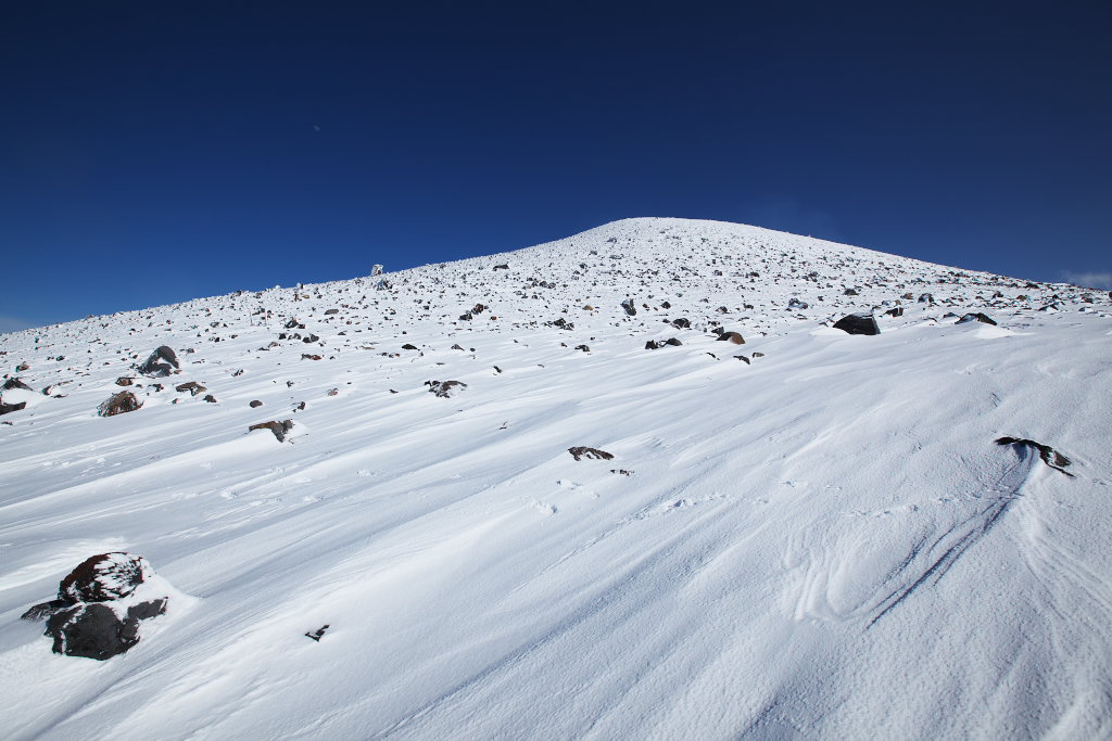 f0171065_20171923.jpg