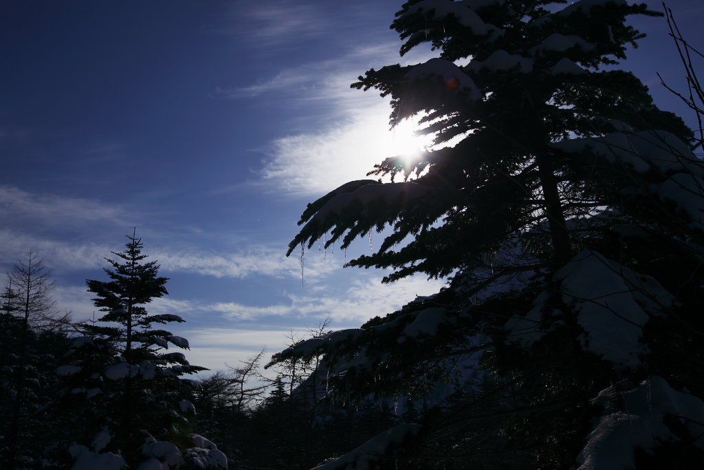 f0171065_20174067.jpg