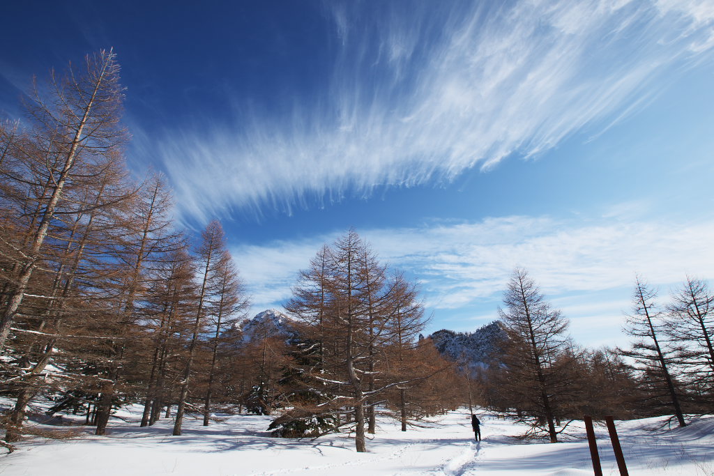 f0171065_20201118.jpg