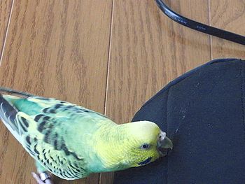 f0196665_22101592.jpg