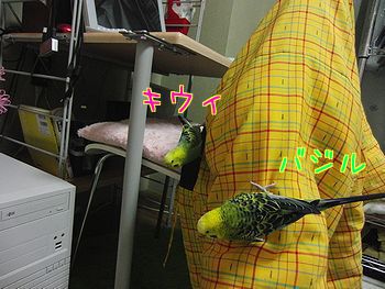 f0196665_22194732.jpg