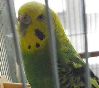 f0196665_2223584.jpg