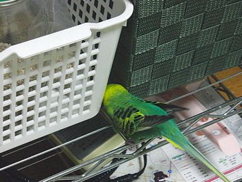 f0196665_225391.jpg