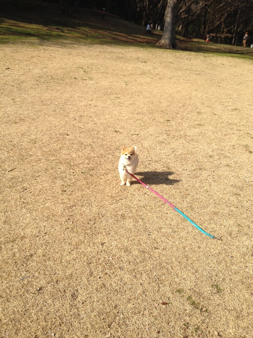 暖かかったり寒かったり_b0156971_2239586.jpg