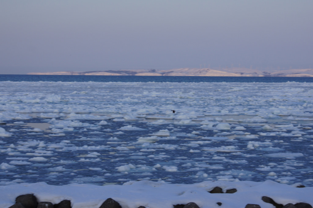 居座る　流氷_e0152186_1824412.jpg