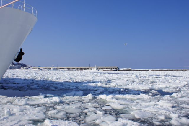 居座る　流氷_e0152186_1863559.jpg