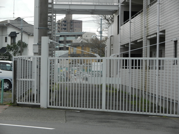 d0224990_1743662.jpg