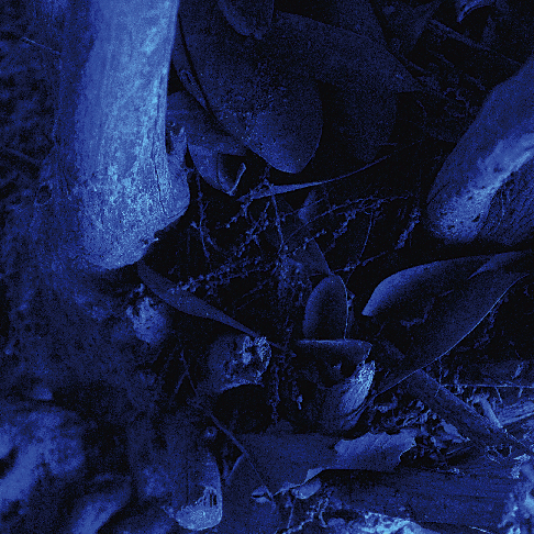DEATHLIKE SILENCE 1st Mini Album_a0092691_340183.jpg