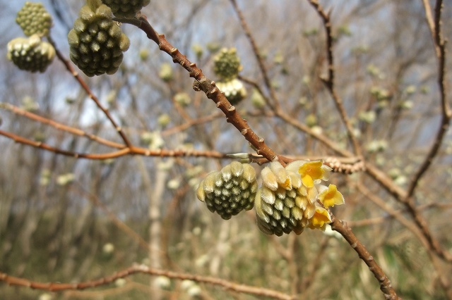 e0070891_2224422.jpg