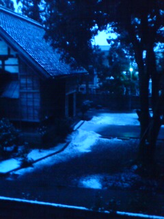 今日も雪_a0045193_1821281.jpg