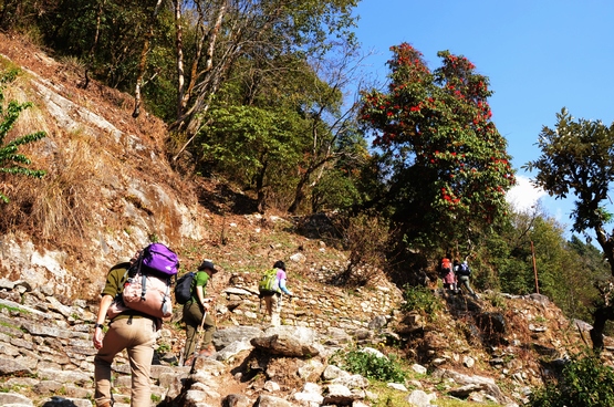 Poon hill trek 3_e0111396_121490.jpg