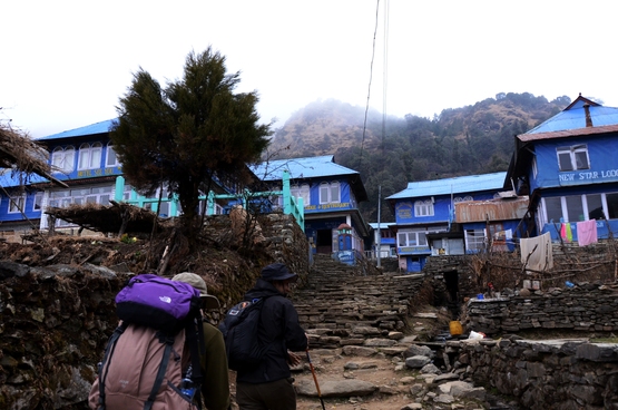 Poon hill trek 3_e0111396_157027.jpg
