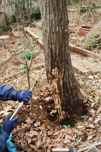 c0124100_0312566.jpg