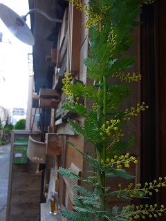 c0201910_12373632.jpg