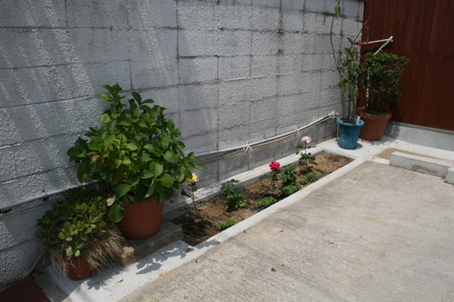 f0123712_18501182.jpg