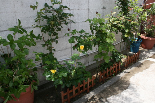 f0123712_18515629.jpg